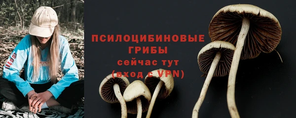 кокаин премиум Богородицк