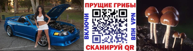 Псилоцибиновые грибы Magic Shrooms  Советск 